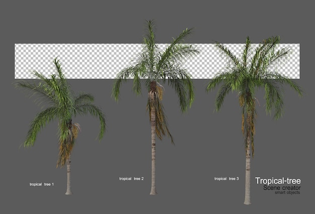 PSD Различные виды тропических деревьев