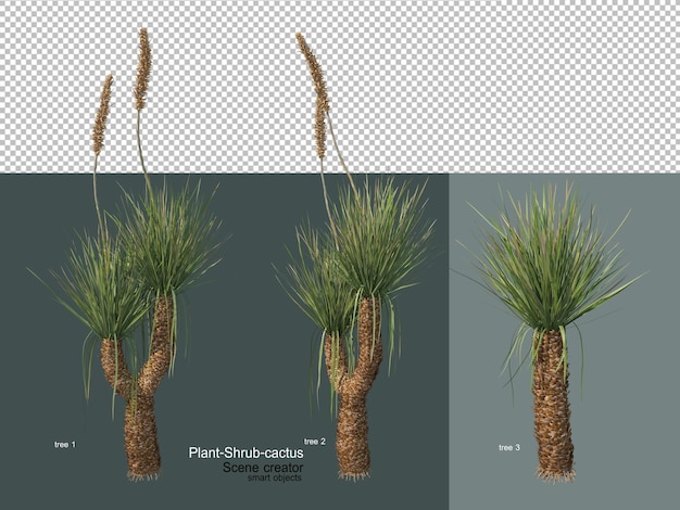 PSD diversi tipi di alberi e cactus