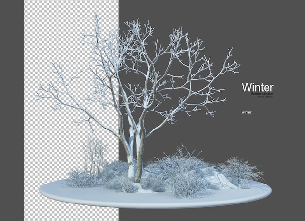 PSD diversi tipi di alberi in inverno