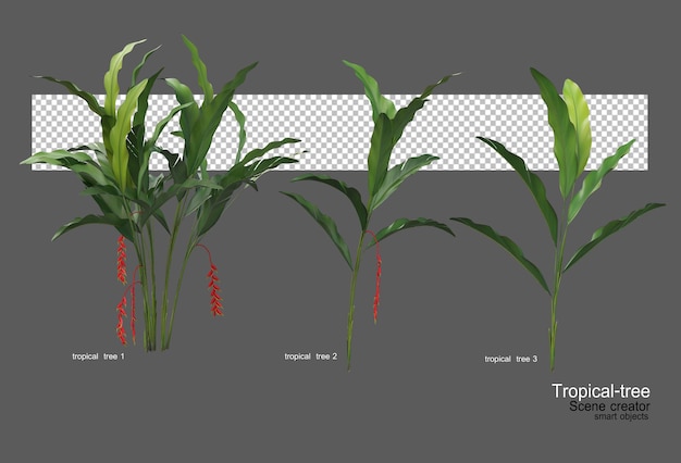 PSD different types of tropical trees