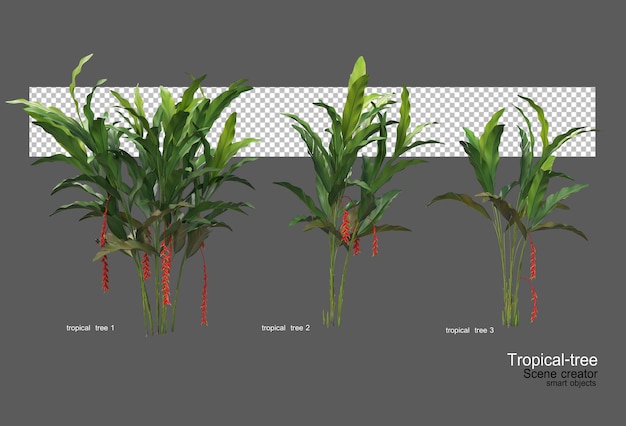 PSD different types of tropical trees