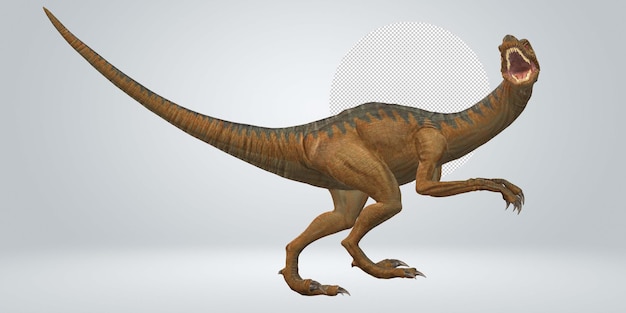 Dinozaur Velociraptor odizolowany na przezroczystym tle