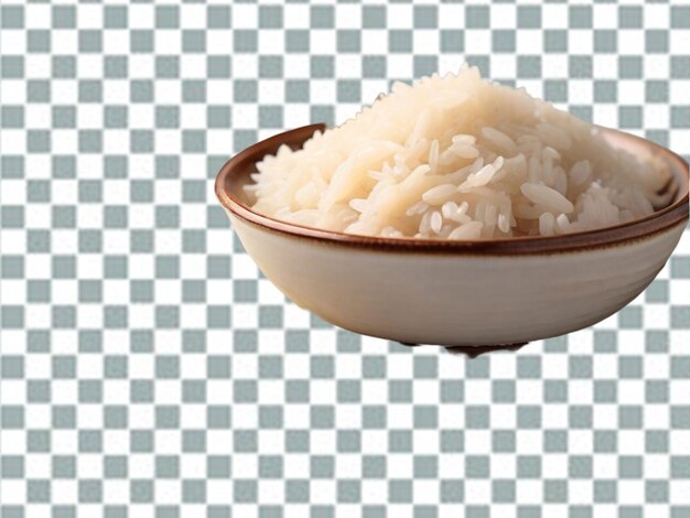 PSD dish with rice png