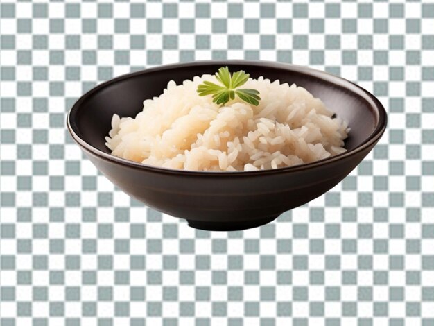 PSD dish with rice png