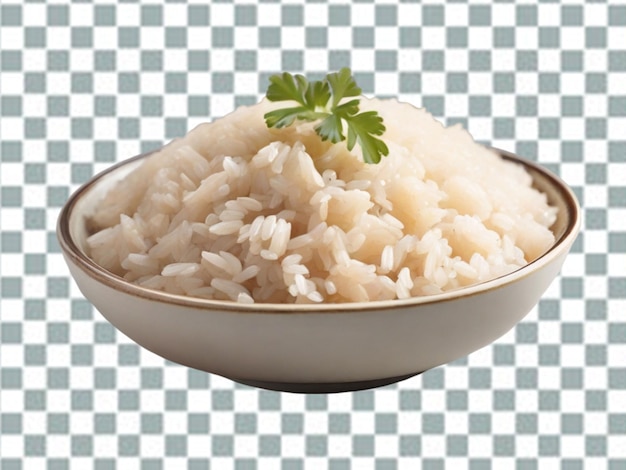 PSD dish with rice png