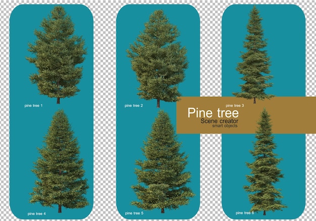 Display different patterns of pine trees