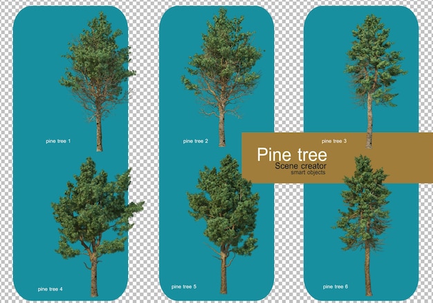 PSD display different patterns of pine trees