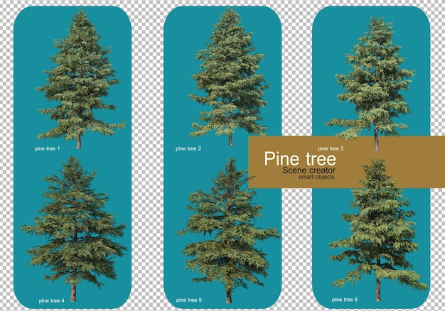 Mostra diversi modelli di alberi di pino