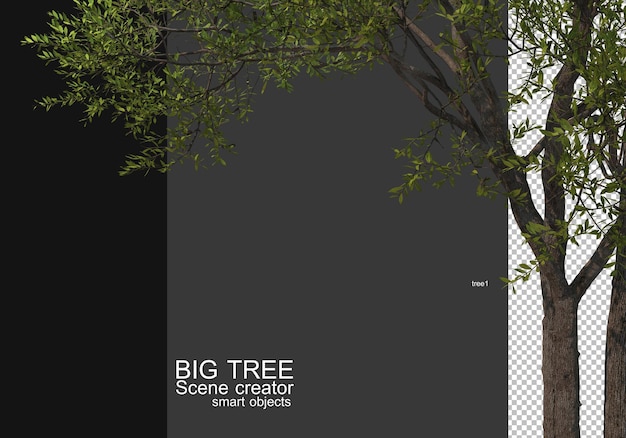 PSD visualizza un rendering in primo piano di un albero di grandi dimensioni