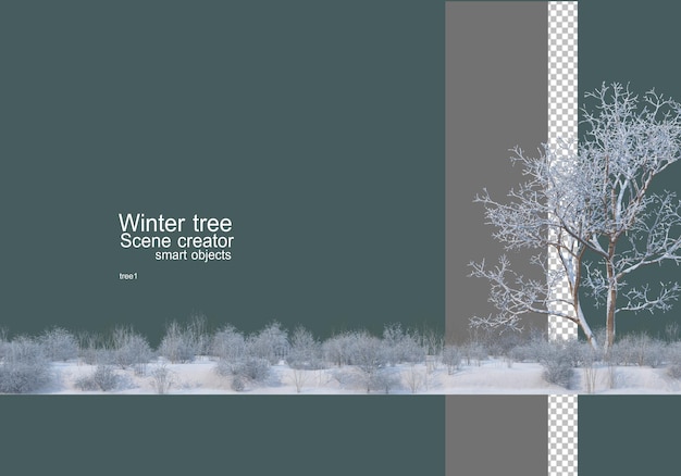 PSD diverse bomen en planten in de winter