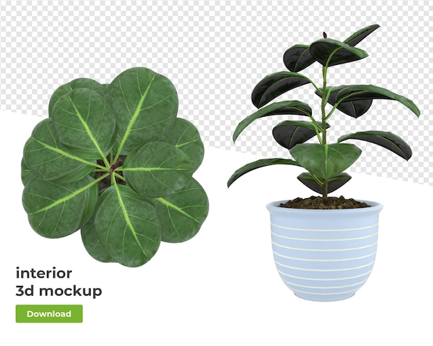 PSD diverse decoratie plant in pot 3d-rendering