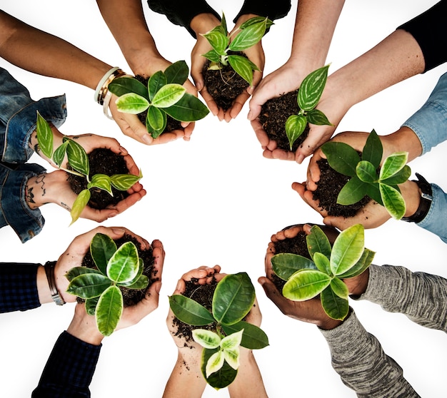 Diverse people holding plants in their hands