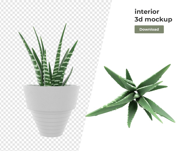 Diverse plant decoratie 3d-rendering geïsoleerd