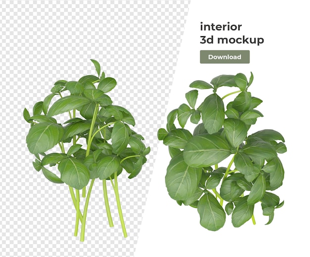 Diverse plant decoratie 3d-rendering geïsoleerd