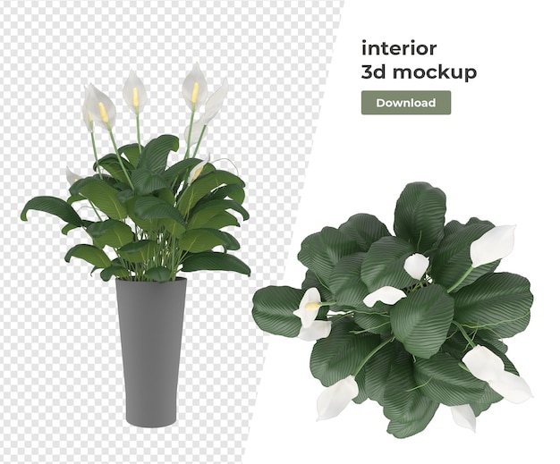 Diverse plant decoratie 3d-rendering geïsoleerd