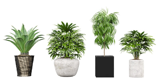 Diverse planten in potten