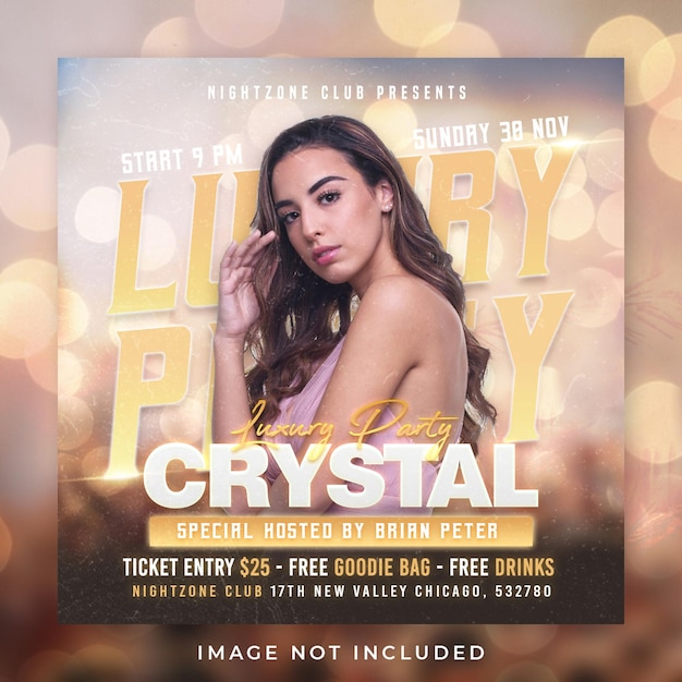 PSD dj party luxury banner poster post template