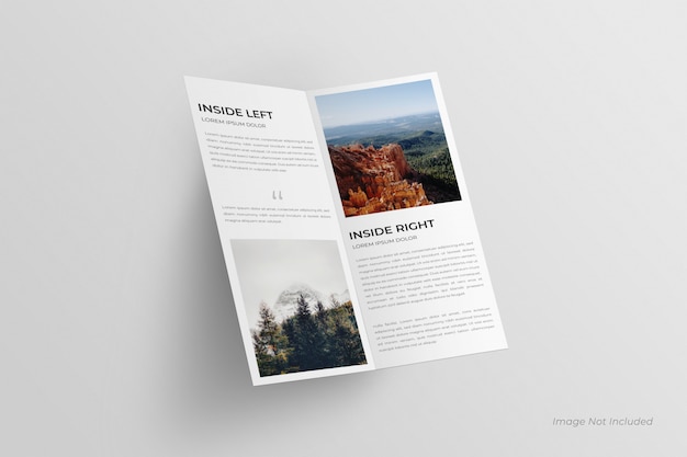 Dl bi-fold brochure mockup