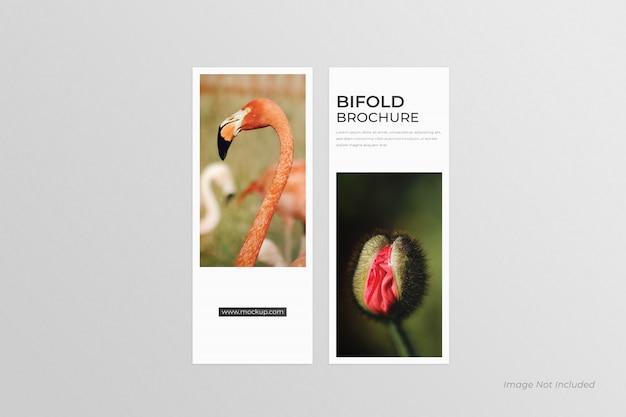 Dl bi-fold brochures mockup