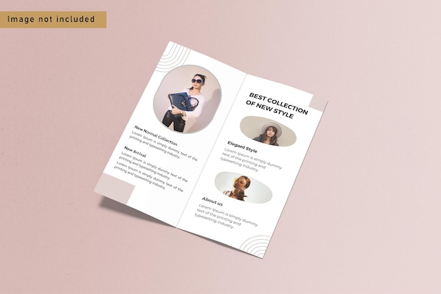 dl bifold brochure mockup