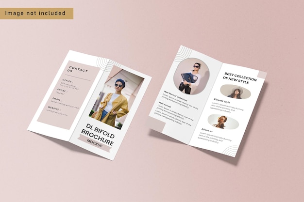 dl bifold brochure mockup