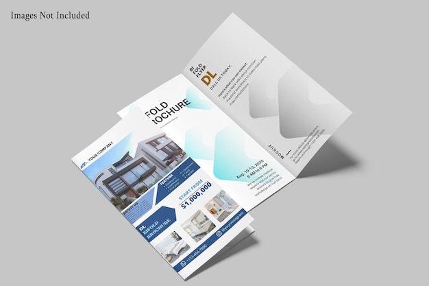 DL Bifold 브로셔 모