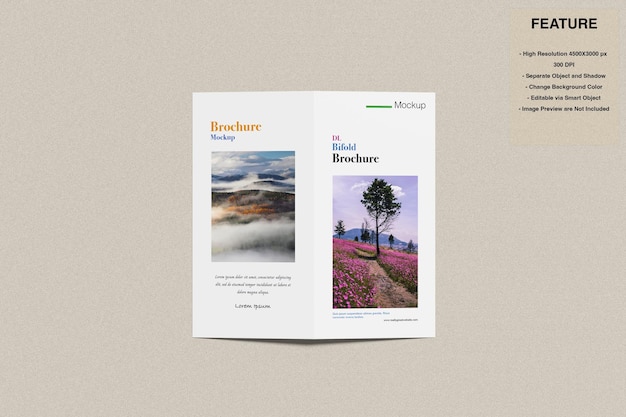 DL Bifold Brochure Mockup