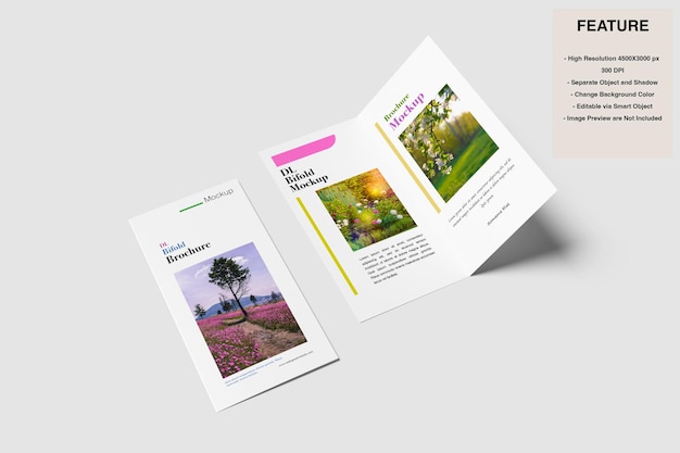 DL Bifold Brochure Mockup