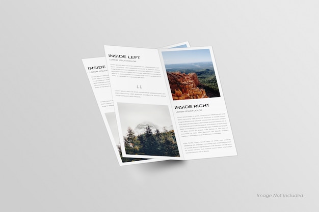 Dl bifold brochures mockup