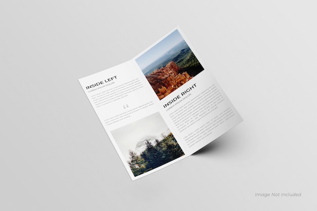 Dl bifold brochures mockup