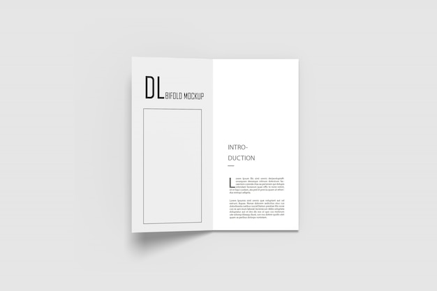 PSD dl bifold mockups