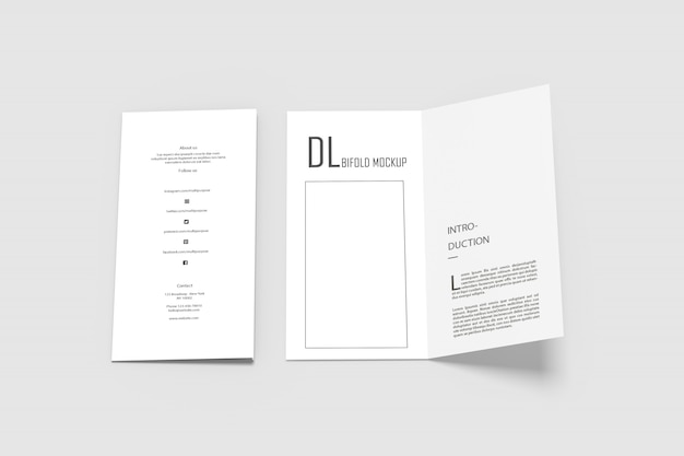 DL bifold mockups