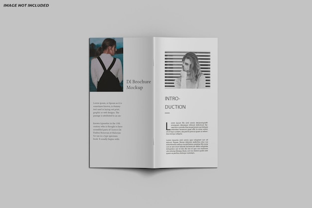 Dl brochure bifold mockup design