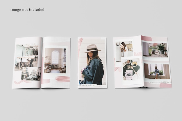 DL Brochure Magazine Makieta