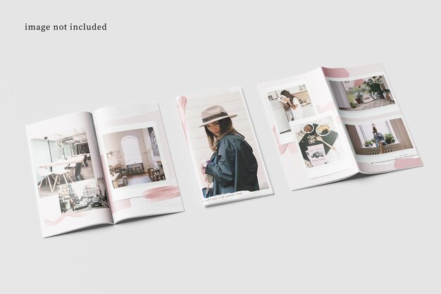 DL Brochure Magazine Makieta