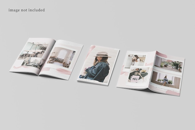 DL Brochure Magazine Makieta
