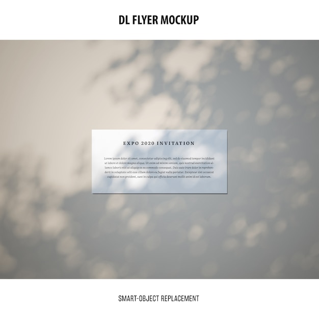 DL Flyer Mockup