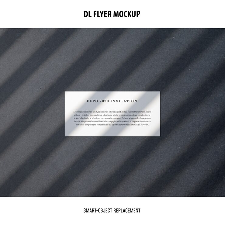 PSD dl flyer mockup