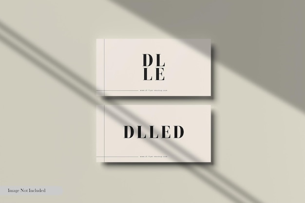 DL Flyer mockup.