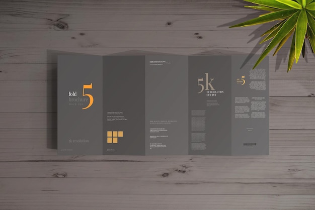 Dl size five fold brochure mockup