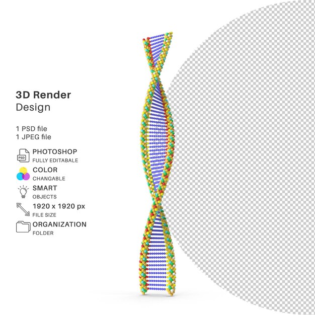 PSD dna 3d-modellering psd-bestand realistisch dna