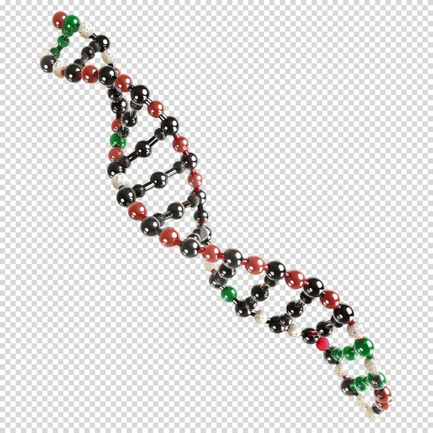 PSD Днк изолирована на прозрачном фоне