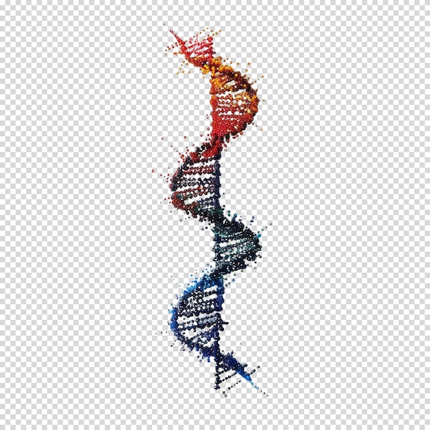 PSD dna isolated on transparent background