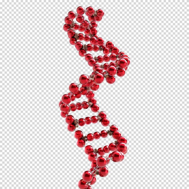 Dna isolated on transparent background