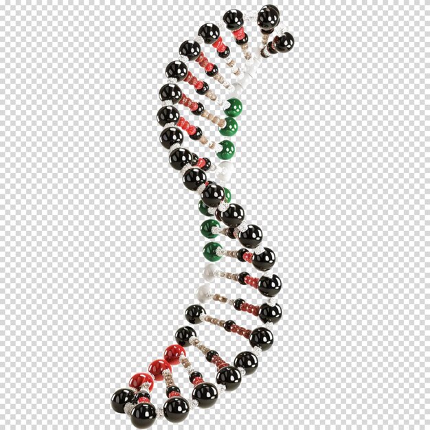 PSD dna isolated on transparent background