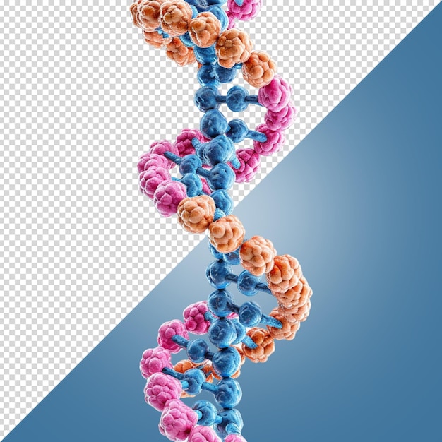 PSD dna structure concept