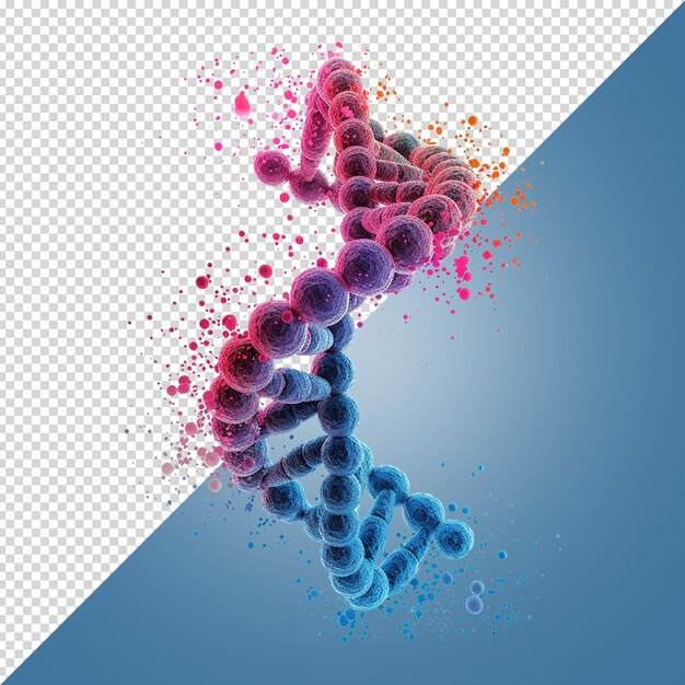 PSD dna 구조 개념