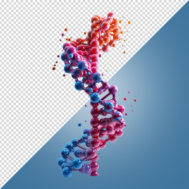 PSD dna structure concept