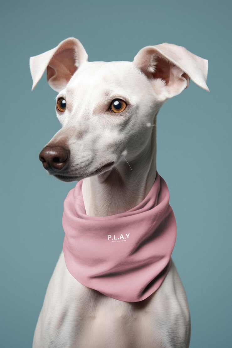 PSD dog bandana mockup psd