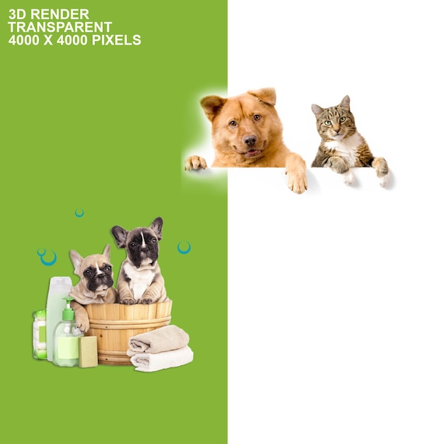 dog and cat transparent background